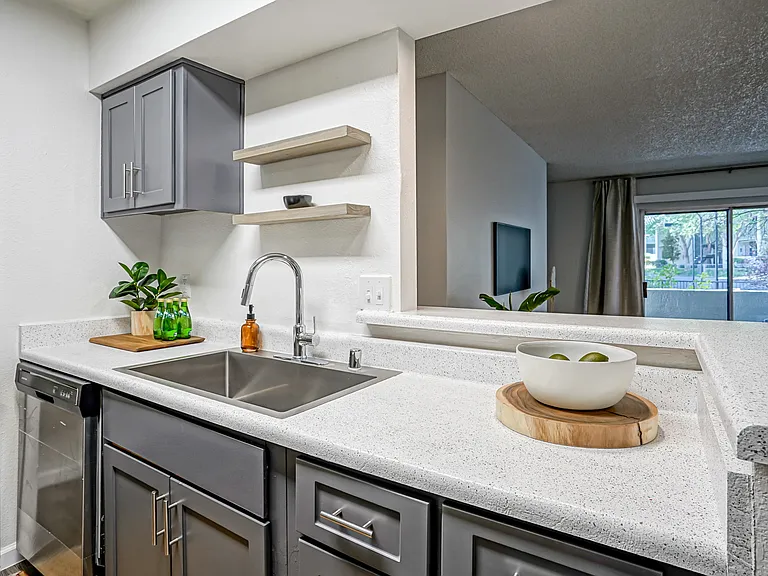 Modern Hardware & Fixtures - Kitchen - Platinum Interior
