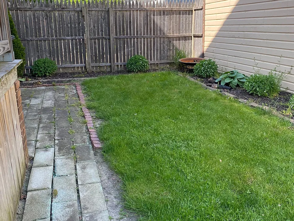 Fenced In Backyard