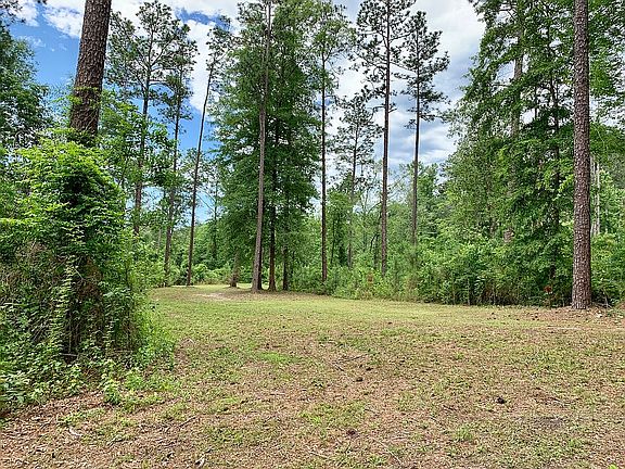 3rd image of 141 Dogwood Ln