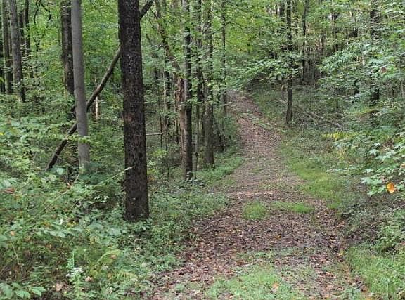 3rd image of 16526 State Route 374
