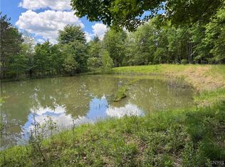 676 Main St, Limestone, NY 14753