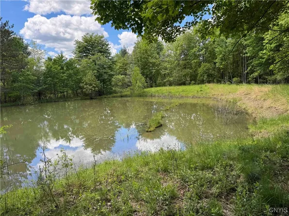 676 Main St, Limestone, NY 14753