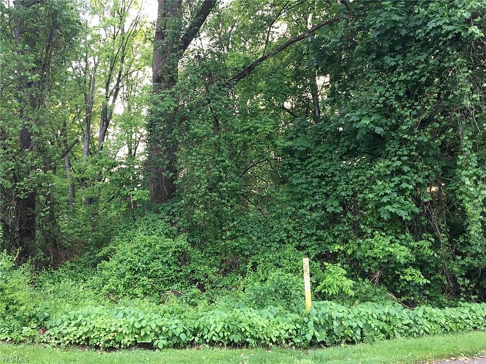 2nd image of Lake Erie St