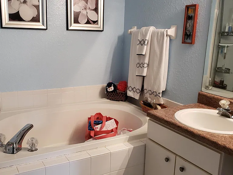 16381 Enclave Village Dr — Photo 9