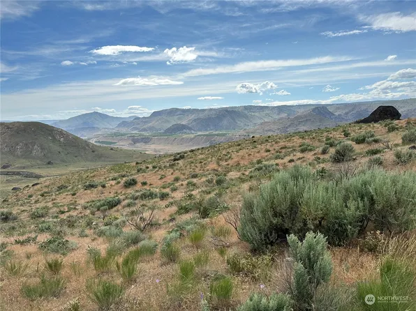 0 Peach Road, Waterville, WA 98858