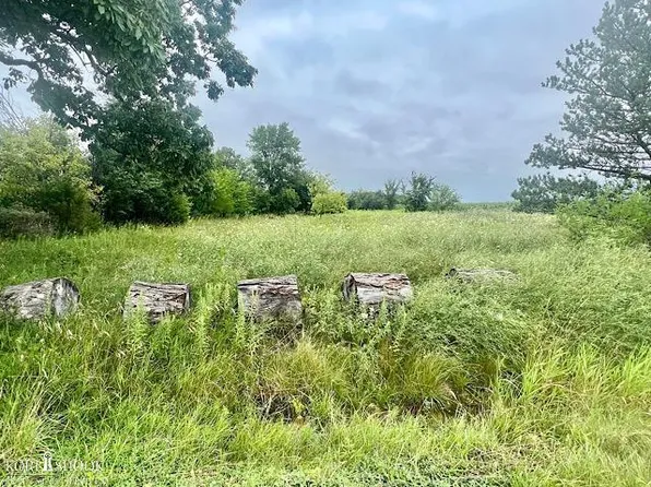 N Juddville Rd, New Lothrop, MI 48460