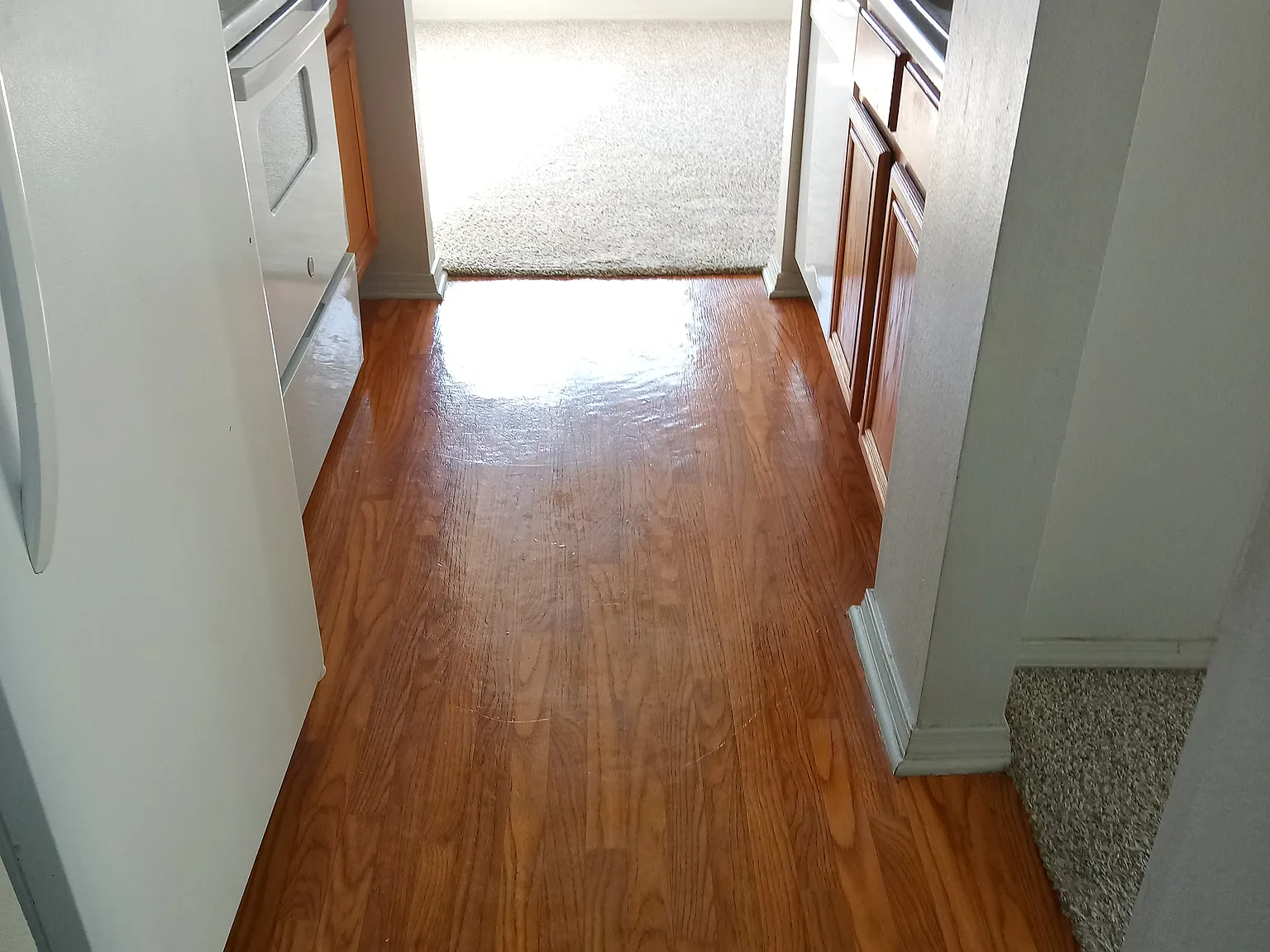 2 bed, 1080 sqft, $1,150 — Photo 4