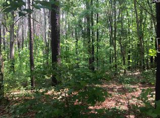 129 New Village Rd, Gilbert, SC 29054