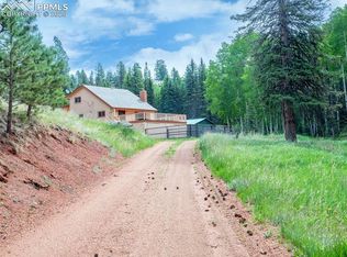 370 Beaver Creek Cir, Florissant, CO 80816
