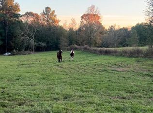 9953 Chestnut Ct, Montgomery, TX 77316