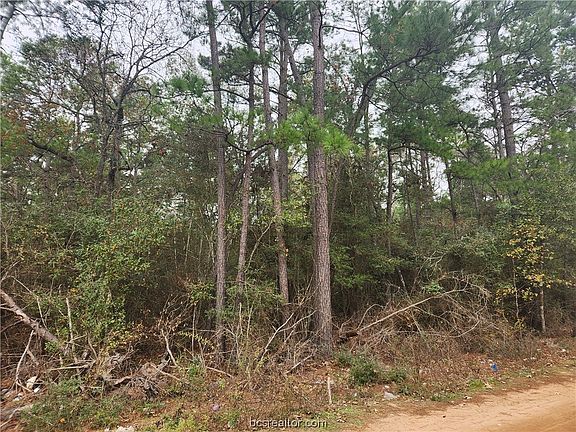 5th image of 36 White Oak Dr