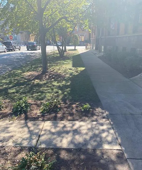 900 W Addison St #3 — Photo 16