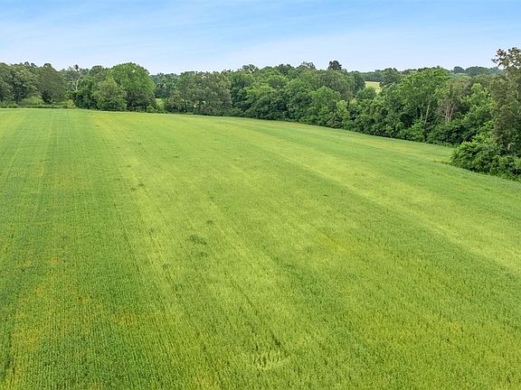 3rd image of Holland Rd