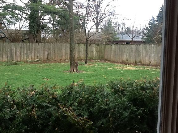 Fenced backyard