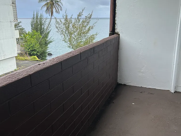 Lehua St — Photo 11