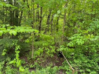 76 Wimble Road, Fairfax, VT, 05454