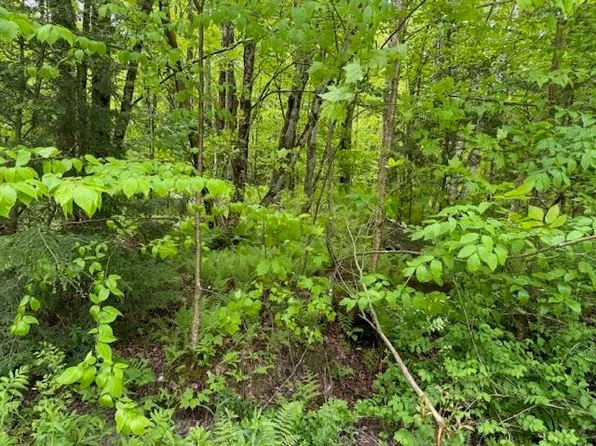 76 Wimble Road, Fairfax, VT 05454