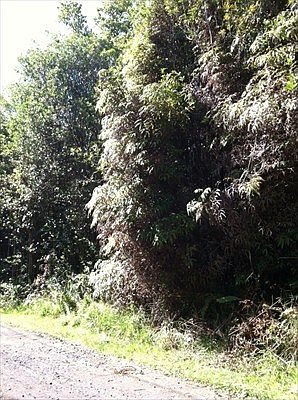 2nd image of Maunalani Lots #79-lot 79