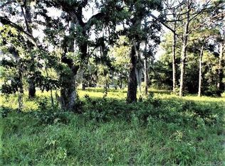 6377 W Homosassa Trl, Homosassa, FL 34448