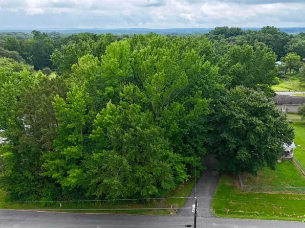 LOT Robinhood Way, Fyffe, AL 35971
