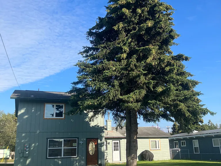 Off street parking and sunny yard