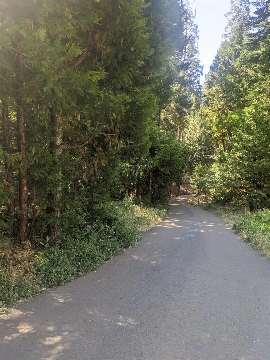 25952 Sylvan Rd photo 1