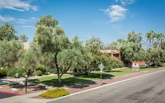 Maguire Hill Apartments