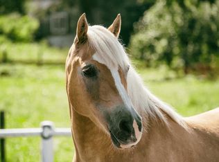 515 Lockhart Gulch Rd, Scotts Valley, CA 95066