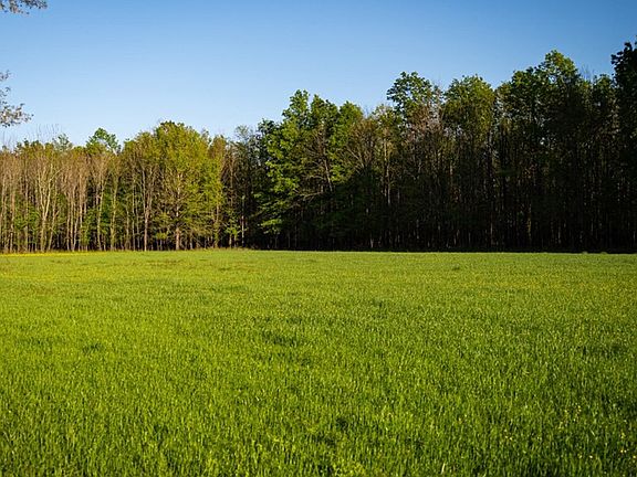 56th image of this home