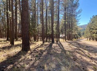 Broadmoor Way, Angel Fire, NM 87710