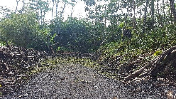 2nd image of Pikake Rd Lot 539