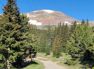 22 Ron's Rd, Alma, CO 80420