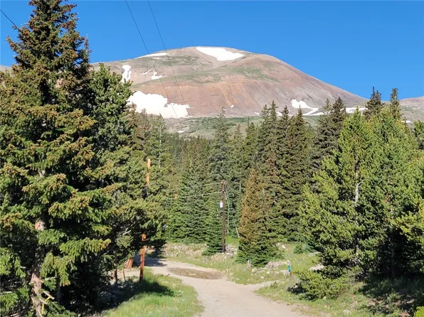 22 Ron's Rd, Alma, CO 80420