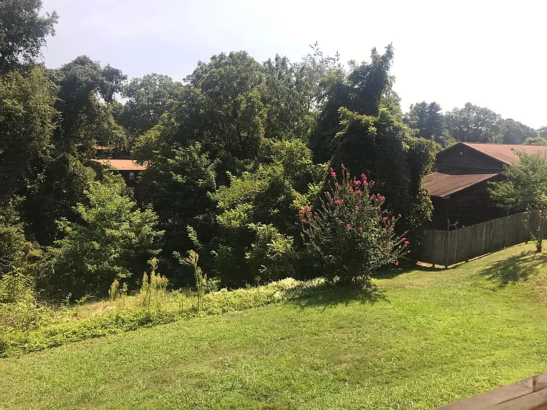 Sloped backyard with lots of greenery.