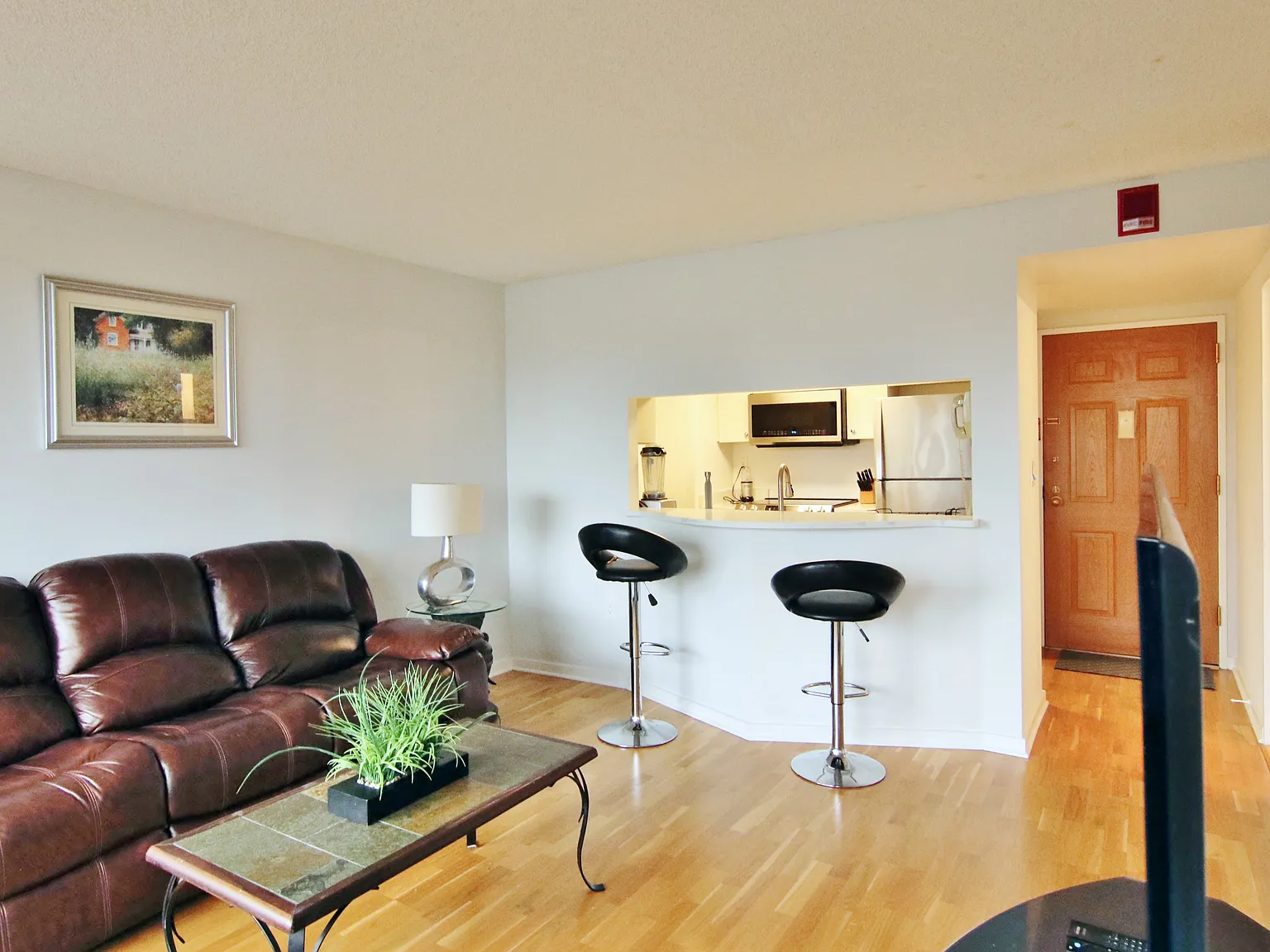 1 bed, 557 sqft, $2,300 — Photo 2