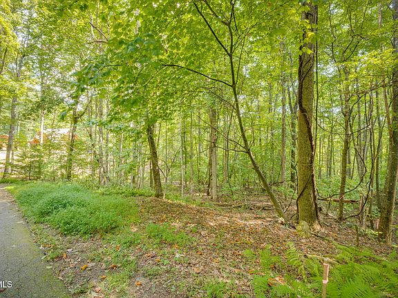 2nd image of 16 Forest Dr