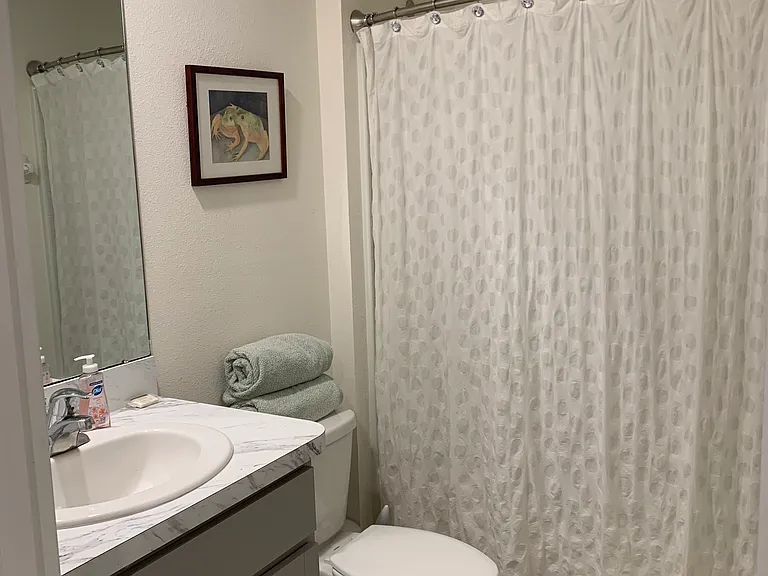 450 Sunlit Coral St — Photo 5
