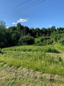 0 County Road 16, Watkins Glen, NY, 14891