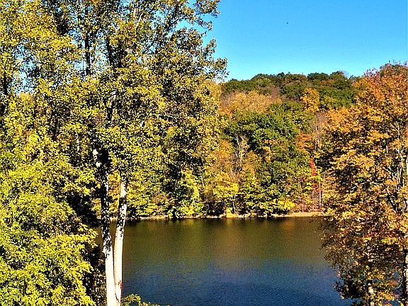 View from the back deck