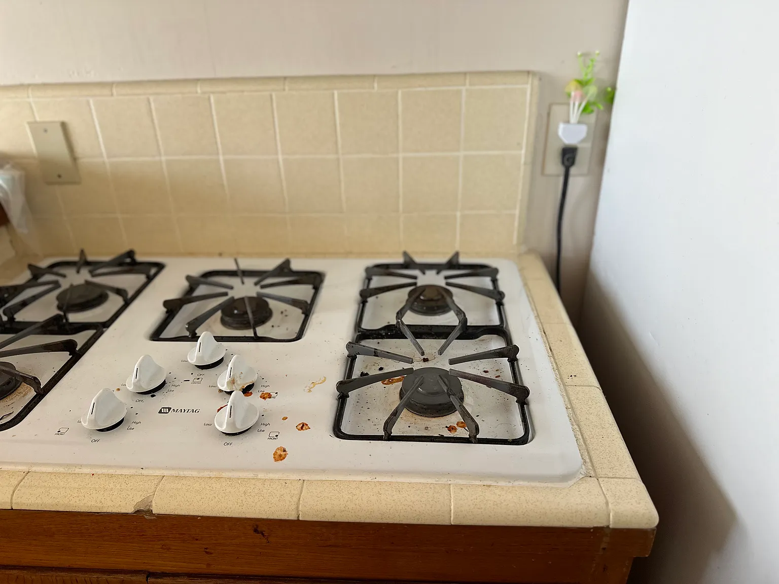 1 bed, 650 sqft, $1,795 — Photo 4