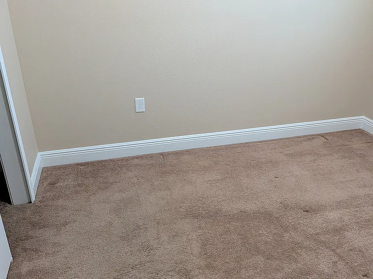 11517 Quiet Forest Dr — Photo 43
