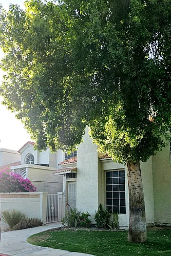 1717 E Union Hills Dr Photo 1