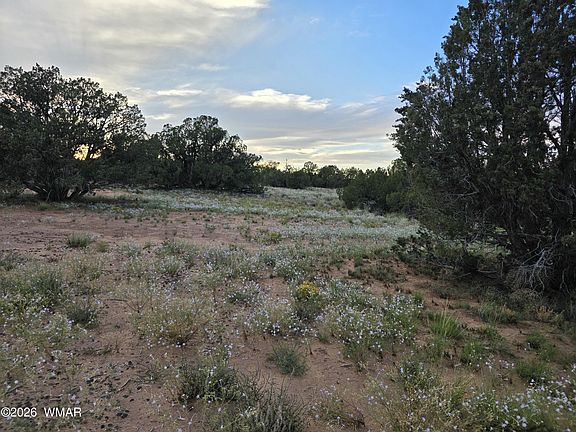 2nd image of 3908 Hidden Ranch Rd