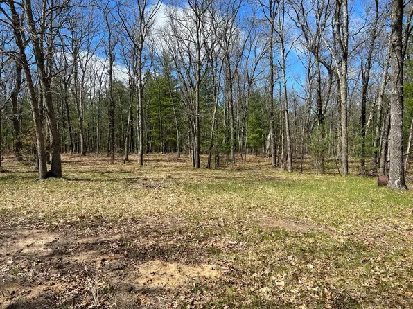 6528 W 11 1/2 Mile Rd, Irons, MI 49644