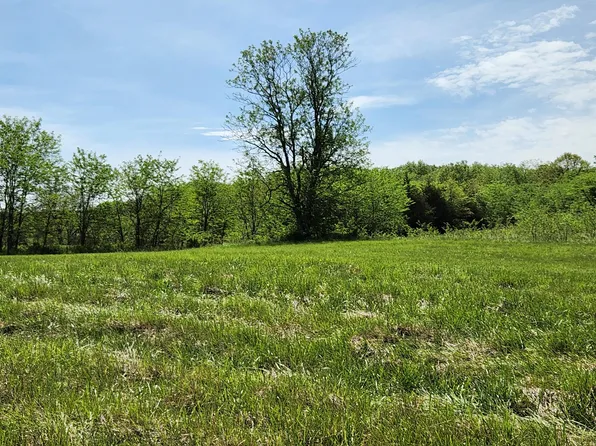 000 River Pass Drive Lot 6 Phase 1, Marshfield, MO 65706