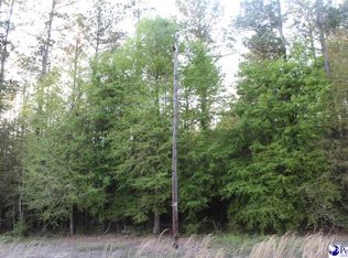 3 Reds Landing Rd, Andrews, SC 29510