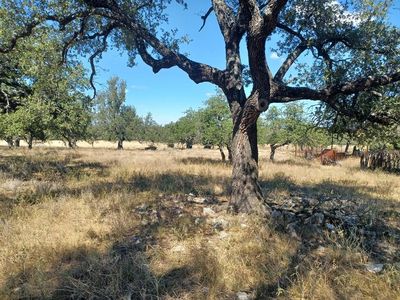 Lange Rd, Harper, TX, 78631
