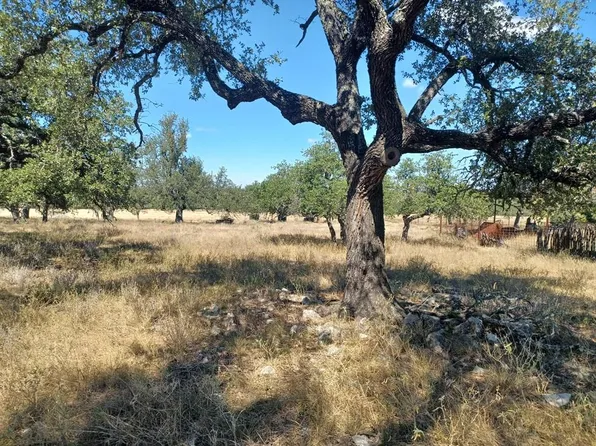 Lange Rd, Harper, TX 78631