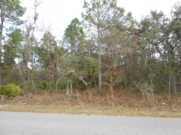 2nd image of 4515 S Slash Pine Ave