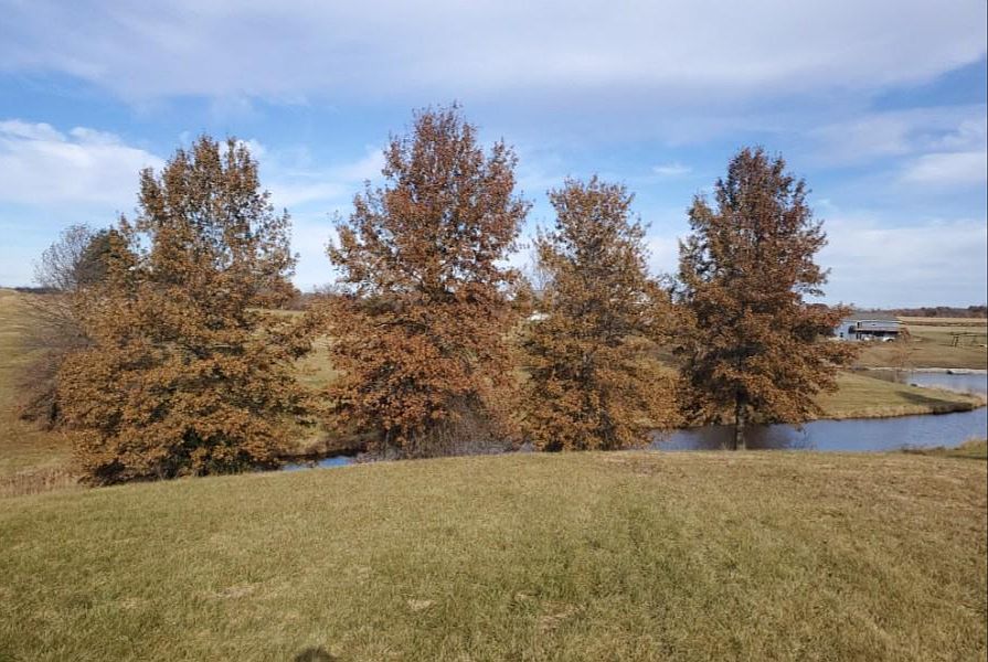 1st image of 3068 Terrace Lake Dr